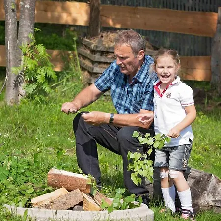 Almhuette In Kaernten Goding