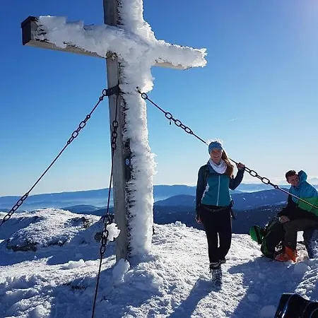 Almhütte In Kärnten Goding